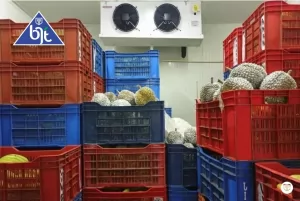 Cold Storage Freezer Kapasitas 5 Ton - Desain Refrigerasi Custom BITZER